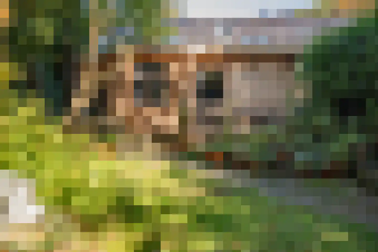 Bakkersweg 32 a Maarn thumbnail 43