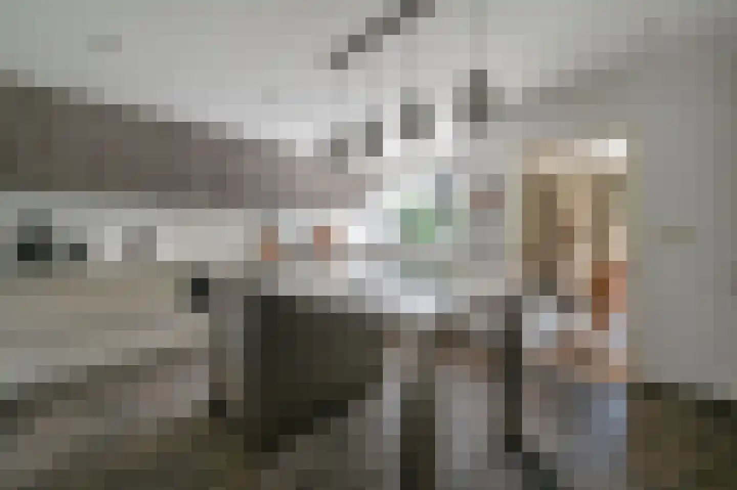 Bakkersweg 33 Voorthuizen thumbnail 14
