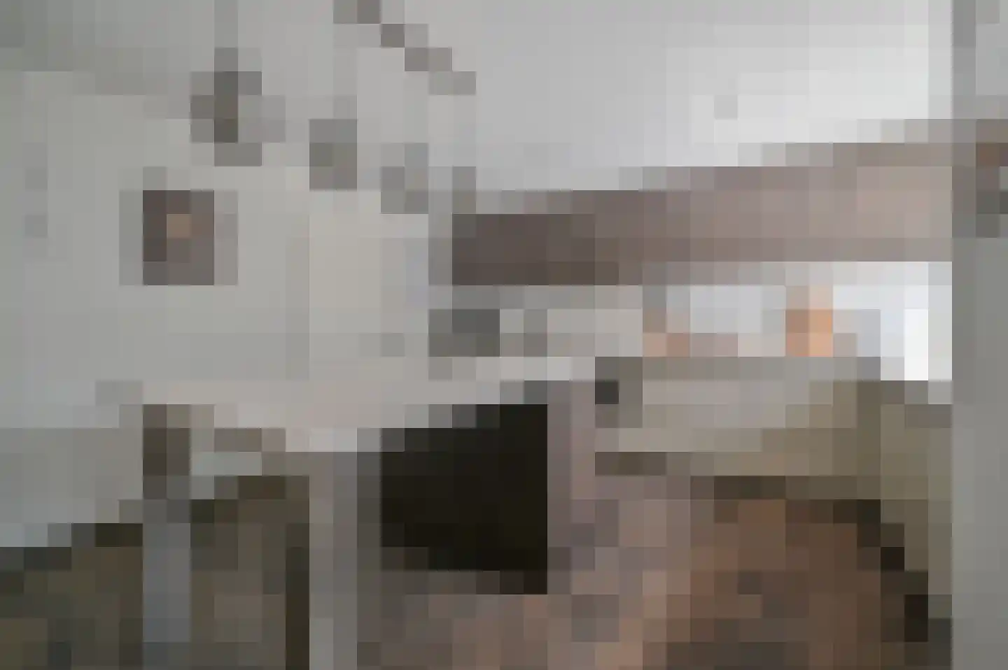 Bakkersweg 33 Voorthuizen thumbnail 16