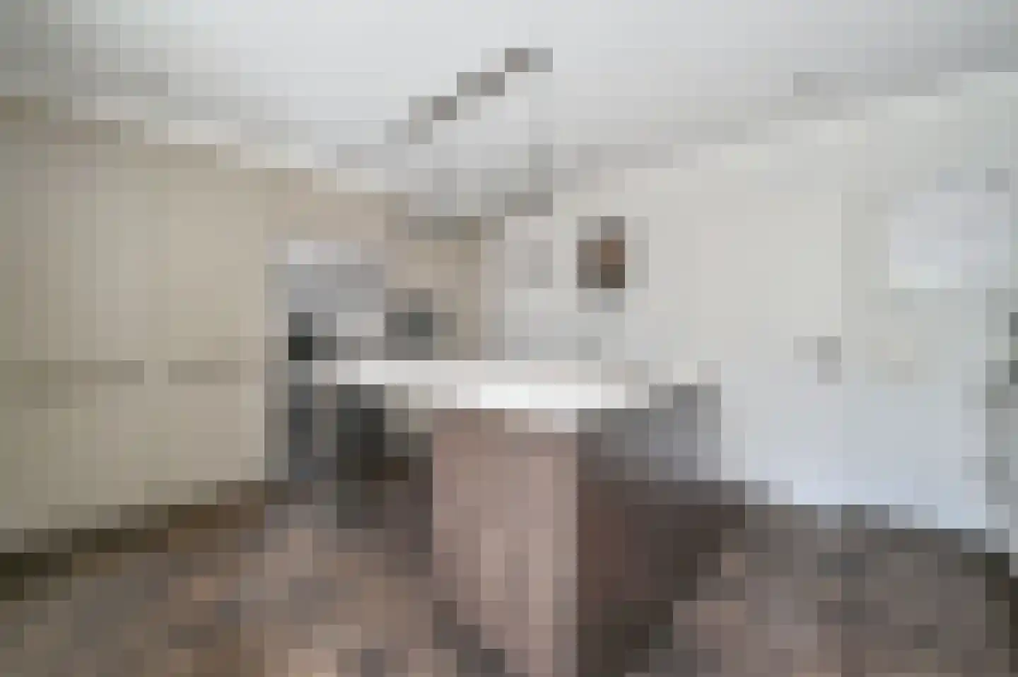 Bakkersweg 33 Voorthuizen thumbnail 17