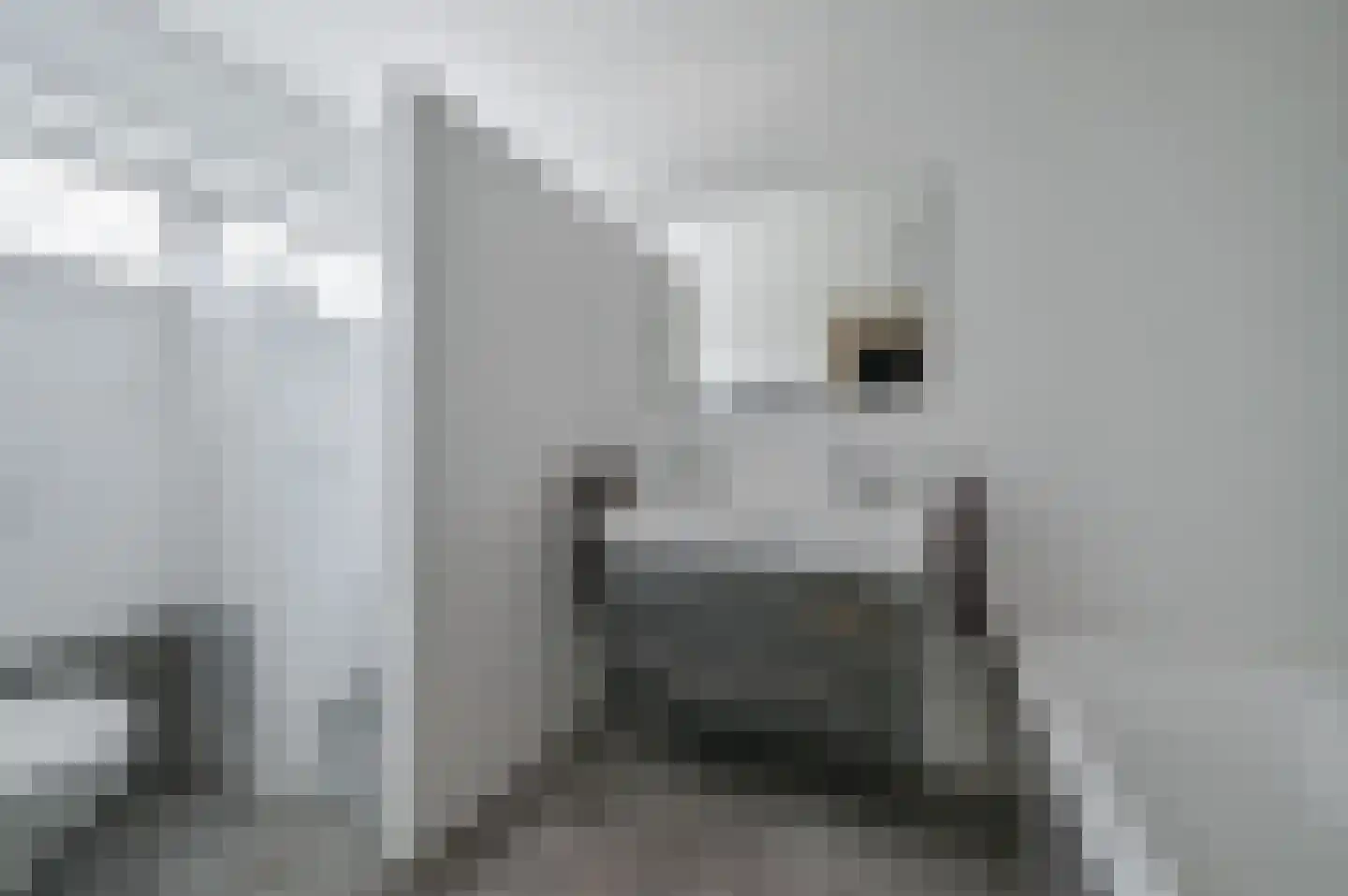 Bakkersweg 33 Voorthuizen thumbnail 20