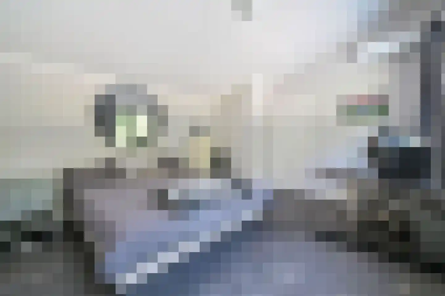 Bakkersweg 33 Voorthuizen thumbnail 26