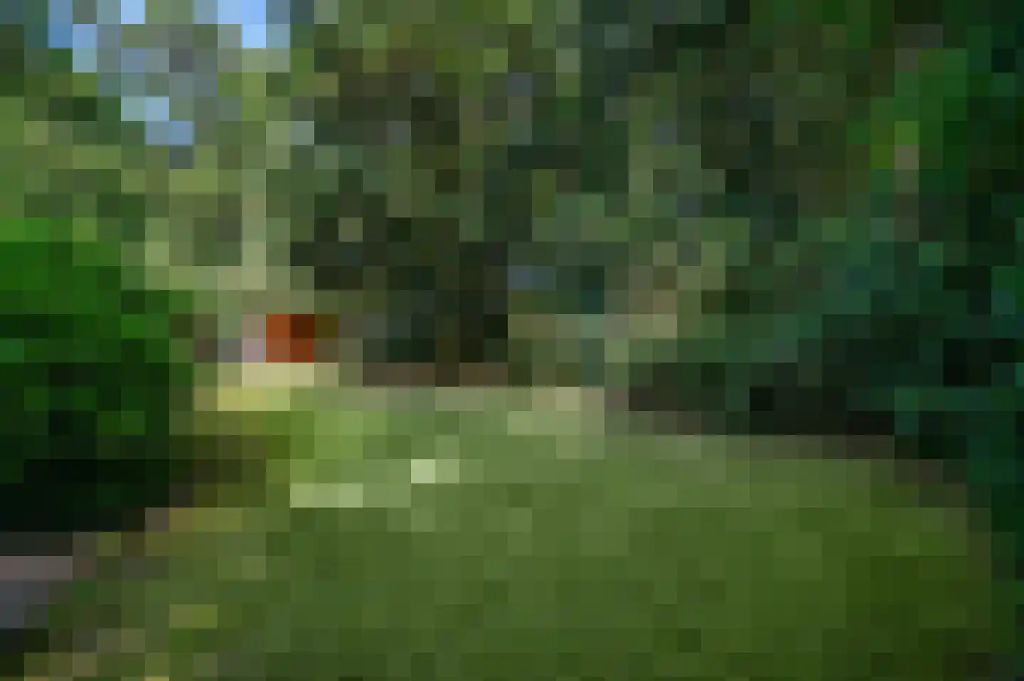 Bakkersweg 33 Voorthuizen thumbnail 31