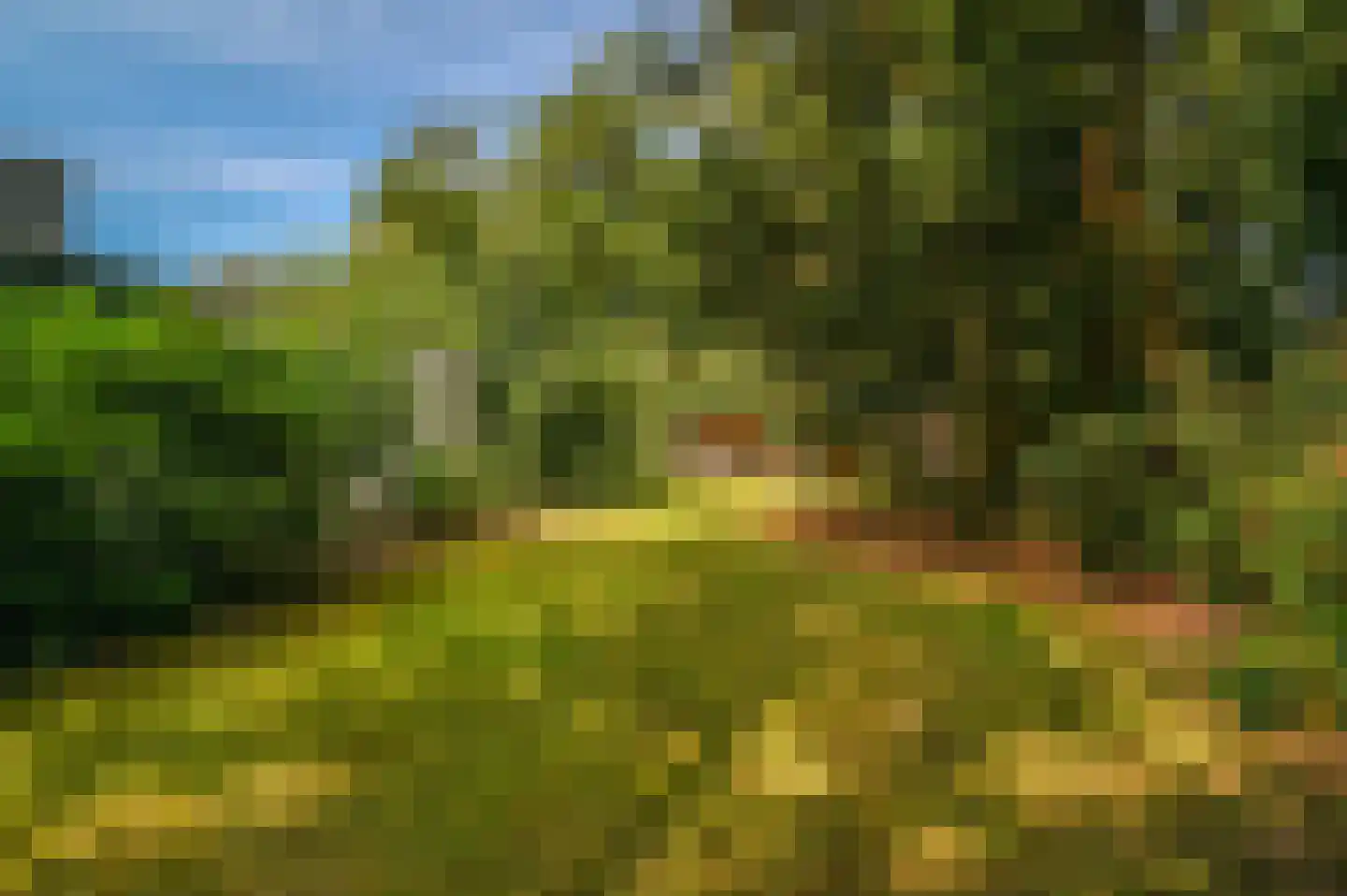 Bakkersweg 33 Voorthuizen thumbnail 35