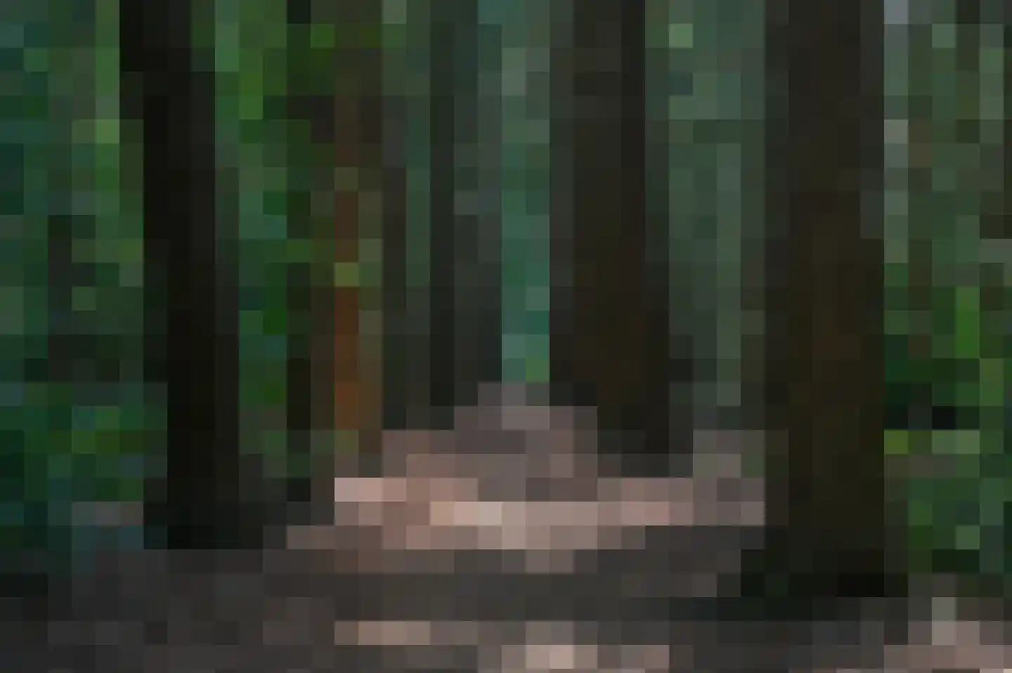 Bakkersweg 33 Voorthuizen thumbnail 38
