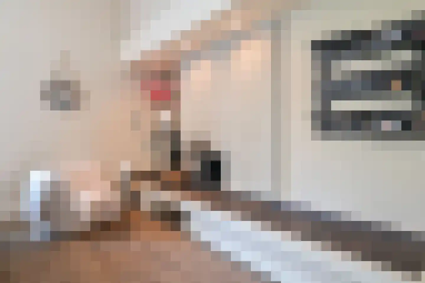 Bakkersweg 33 Voorthuizen thumbnail 9