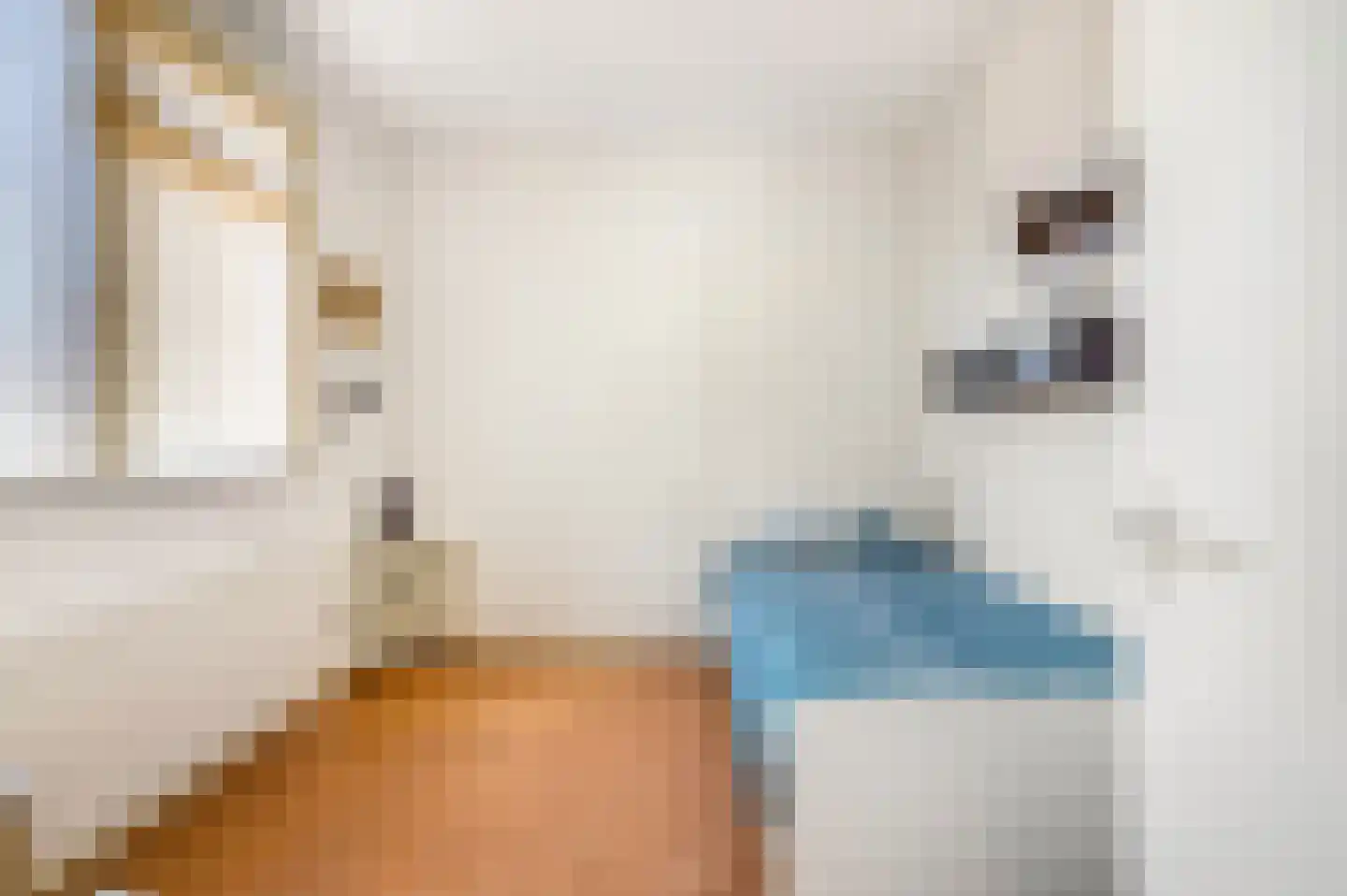 Bakkersweg 7 01 Voorthuizen thumbnail 16