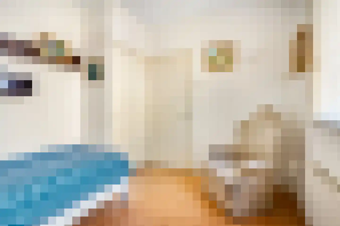 Bakkersweg 7 01 Voorthuizen thumbnail 17
