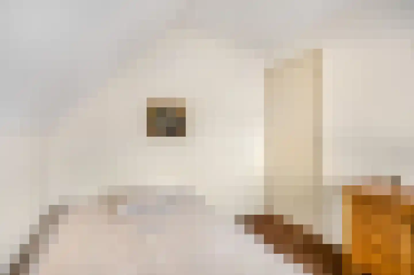 Bakkersweg 7 01 Voorthuizen thumbnail 23