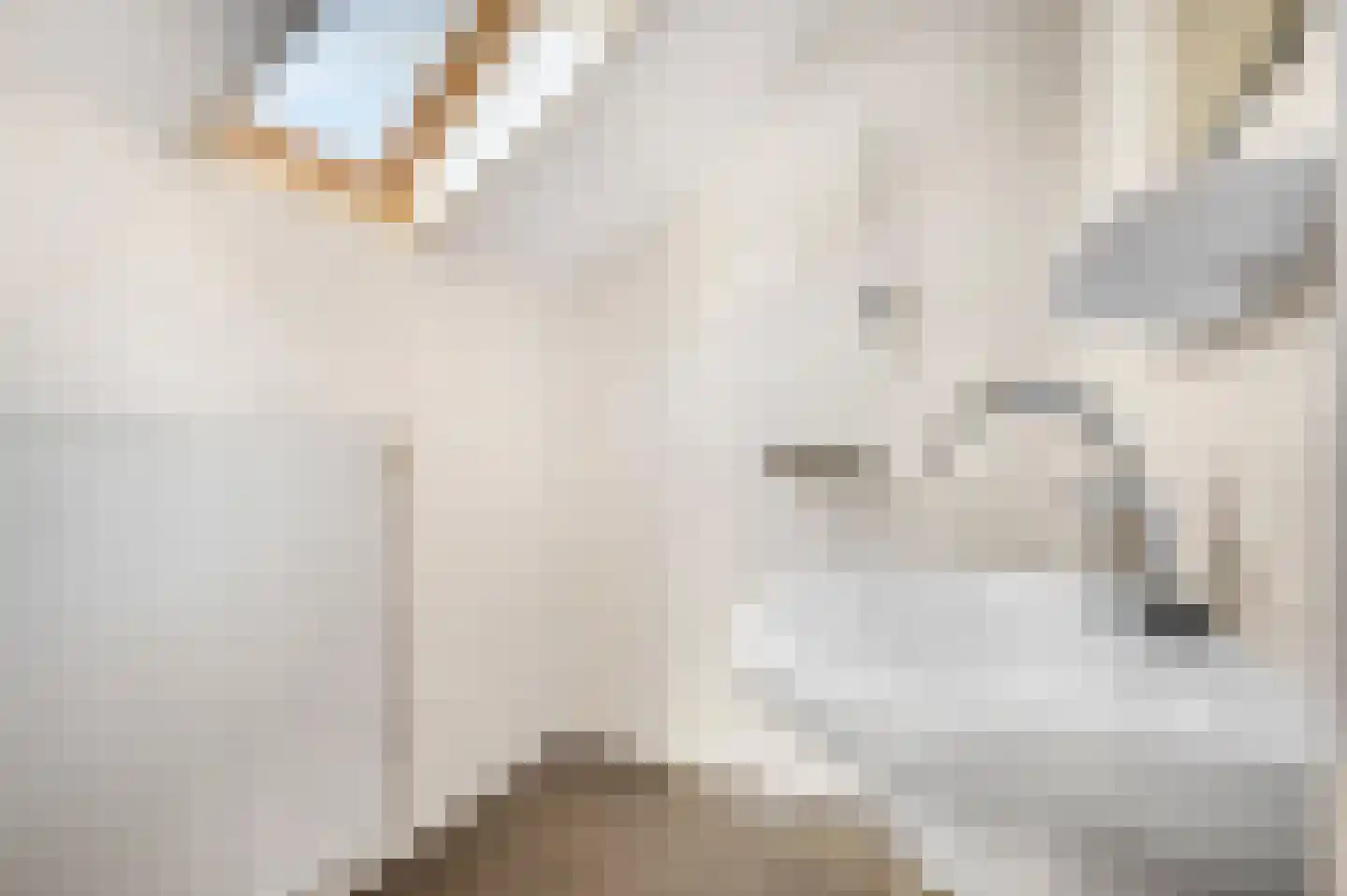 Bakkersweg 7 01 Voorthuizen thumbnail 26