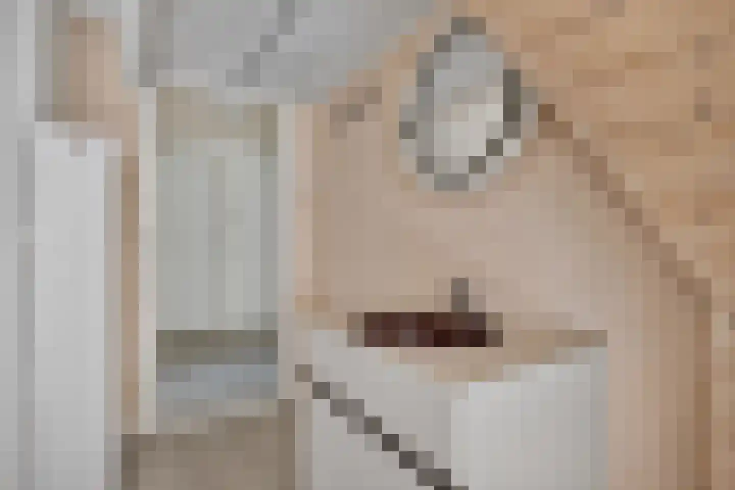 Bakkersweg 8 Voorthuizen thumbnail 37