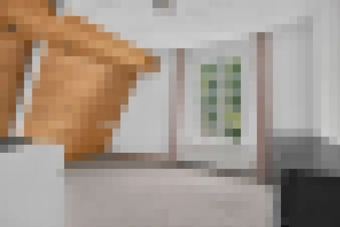 Bakkersweg 8 Voorthuizen thumbnail 40