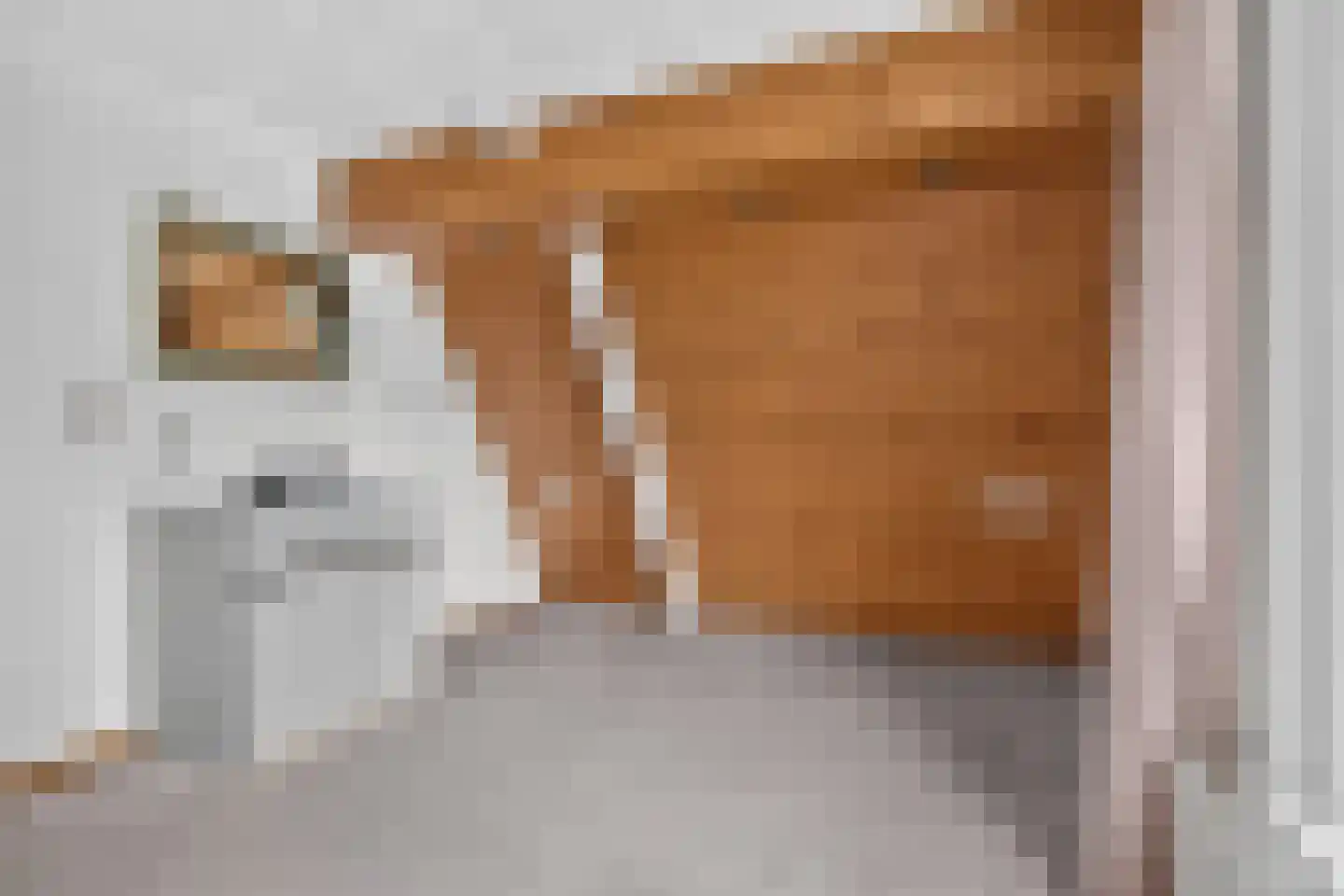 Bakkersweg 8 Voorthuizen thumbnail 41