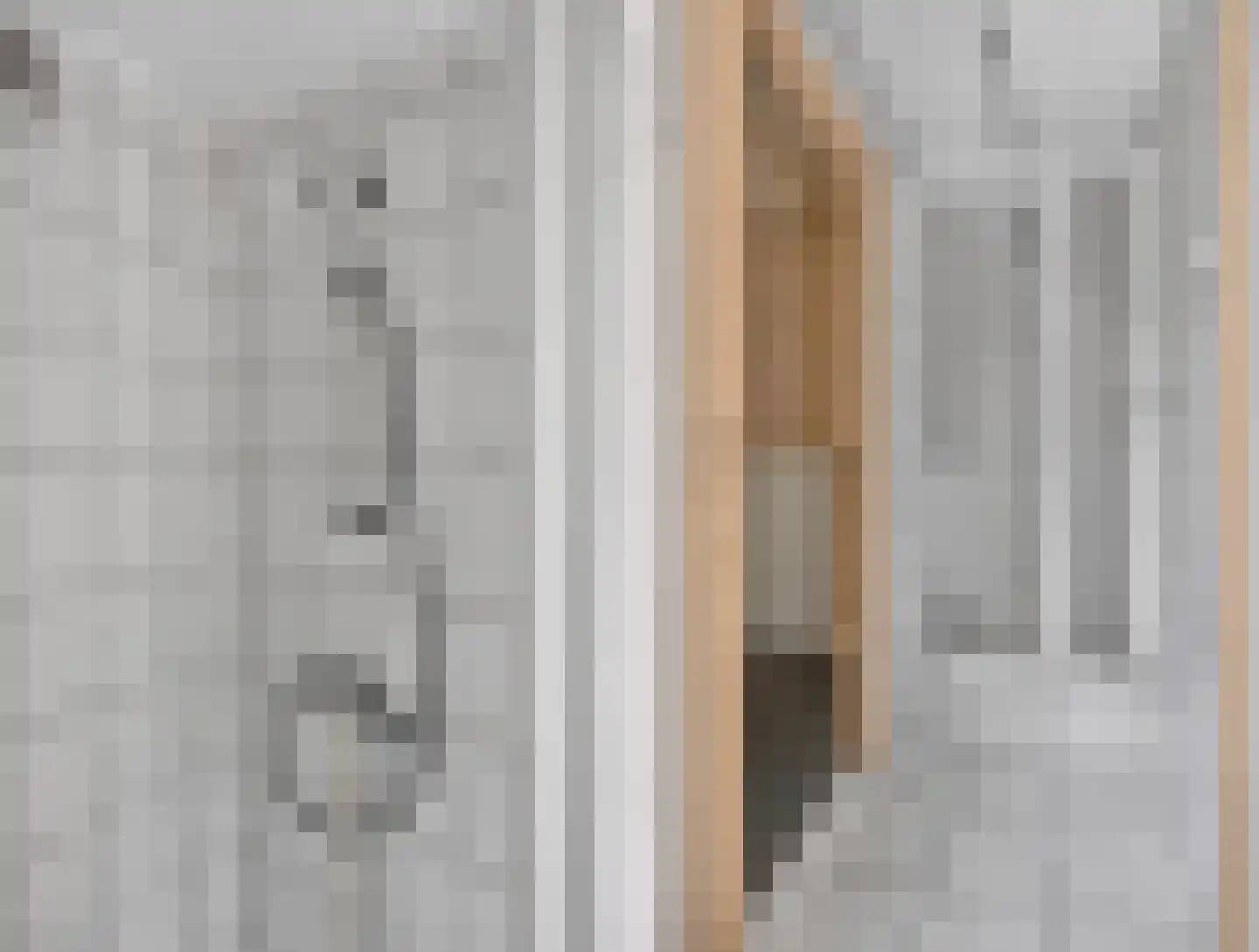 Bakkersweg 8 Voorthuizen thumbnail 50
