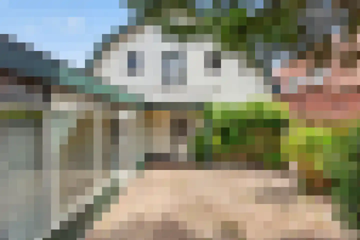 Bakkersweg 8 Voorthuizen thumbnail 51