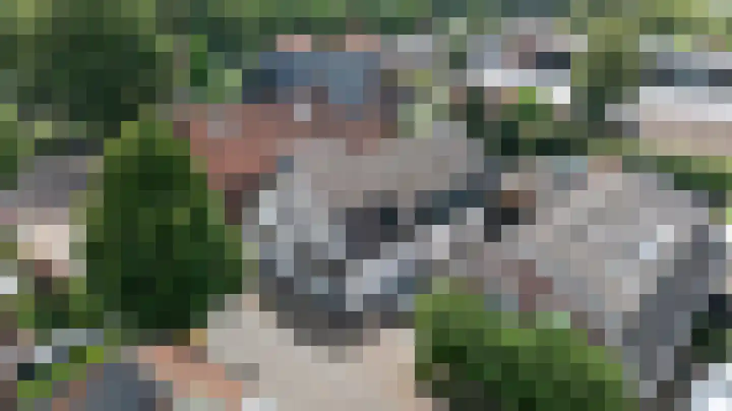 Bakkersweg 8 Voorthuizen thumbnail 58