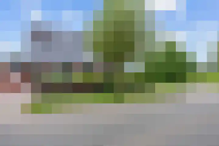 Bakkeveensterweg 11 C Waskemeer thumbnail 11