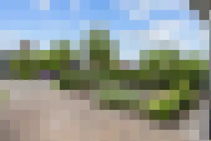Bakkeveensterweg 11 C Waskemeer thumbnail 12