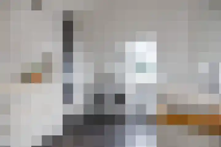 Bakkeveensterweg 11 C Waskemeer thumbnail 36