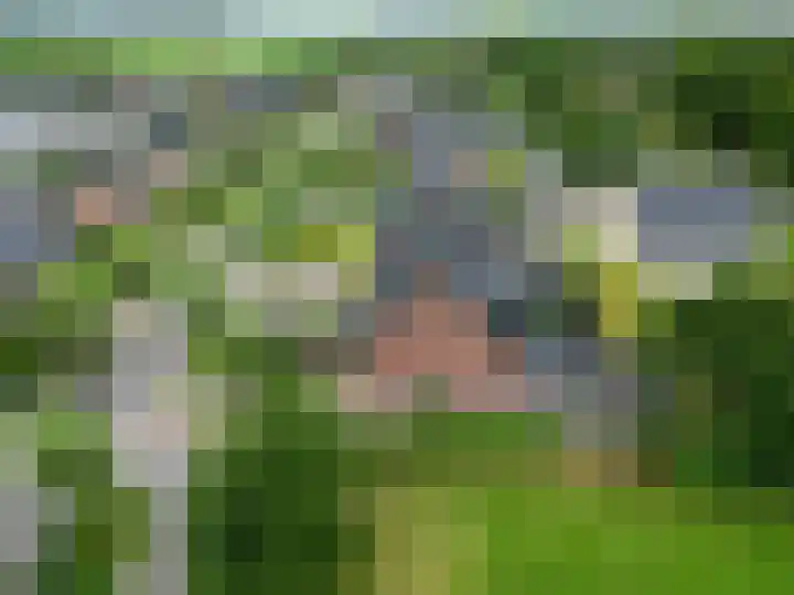 Bakkeveensterweg 11 C Waskemeer thumbnail 57