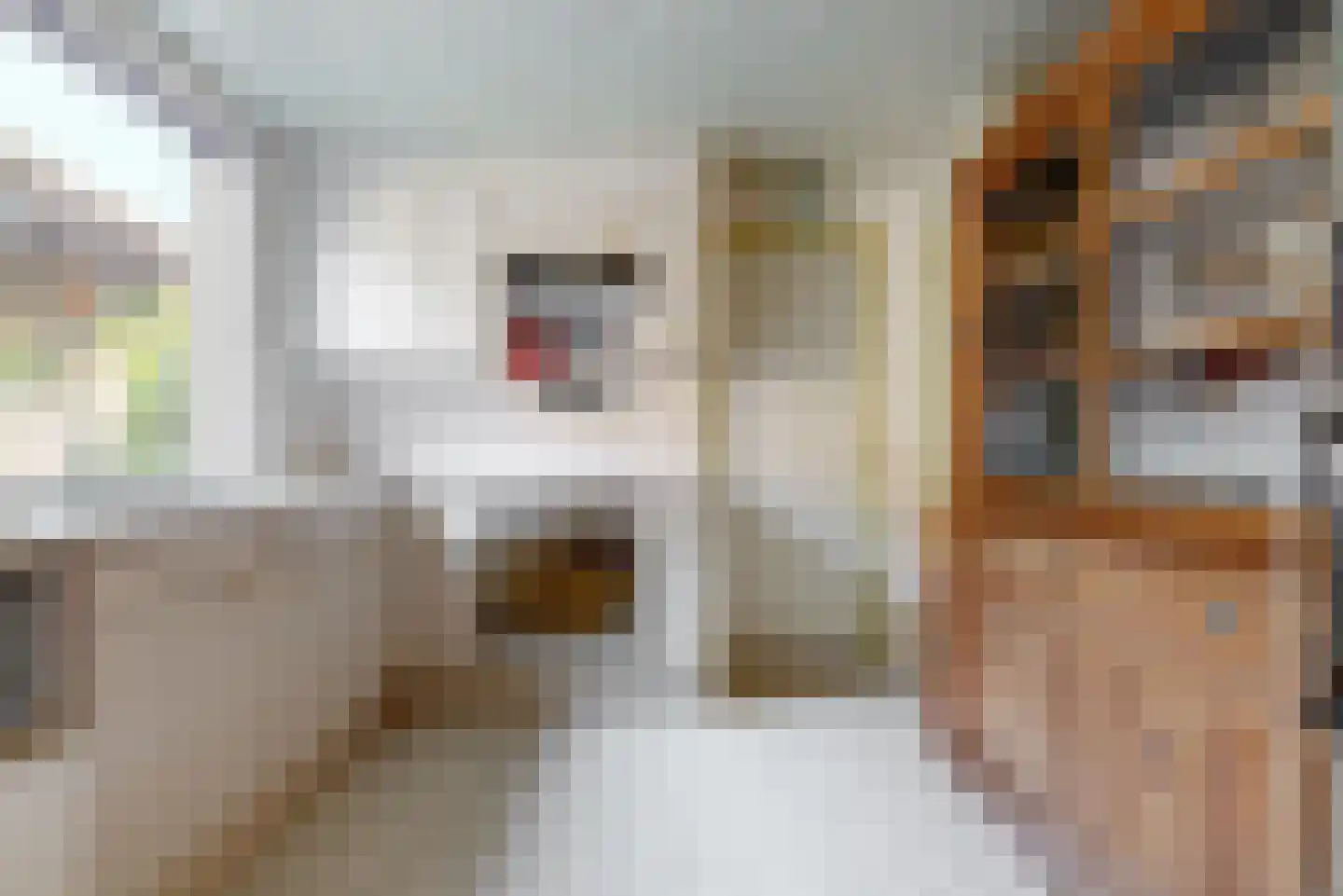 Bakkummerstraat 106 Castricum thumbnail 10