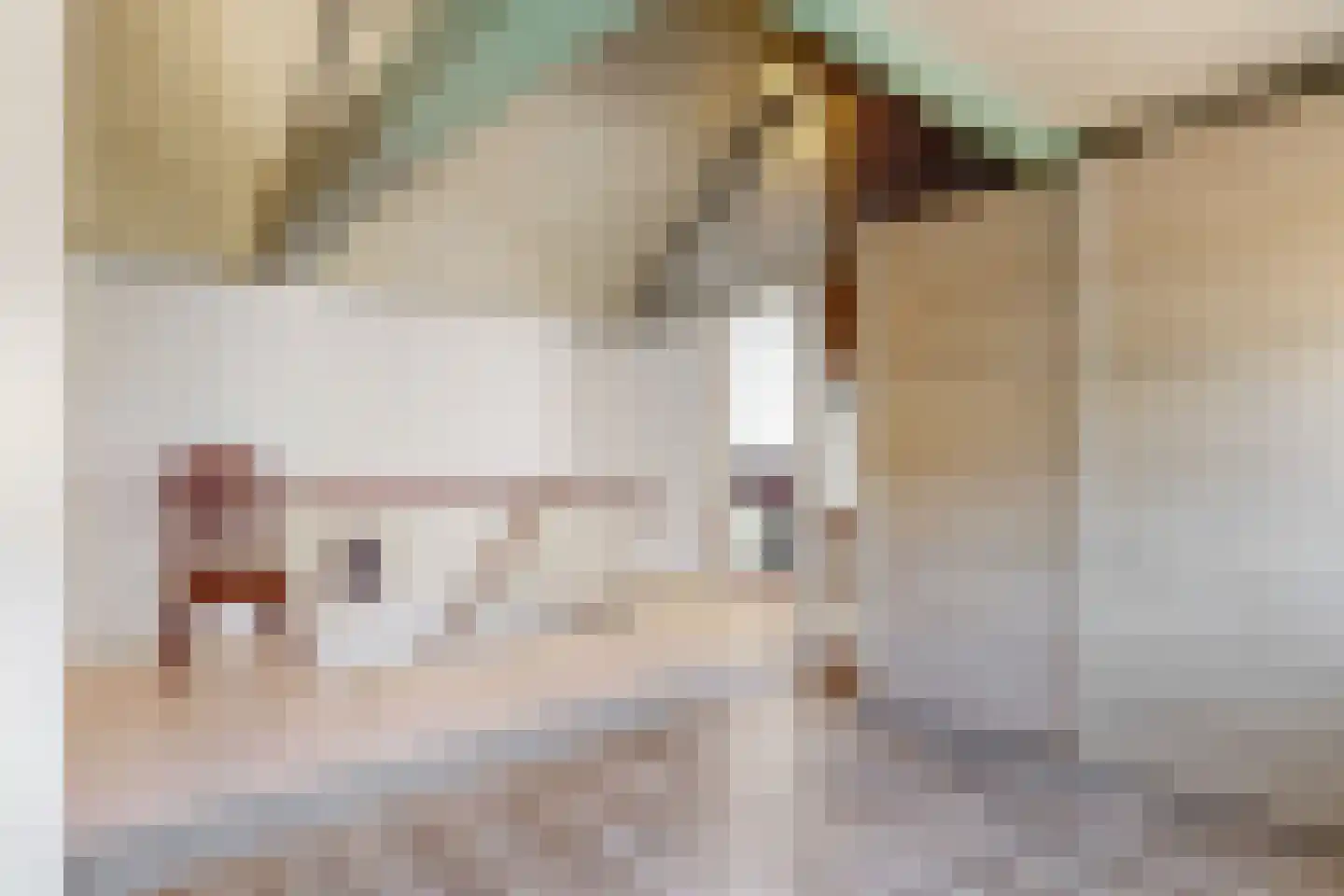 Bakkummerstraat 106 Castricum thumbnail 16