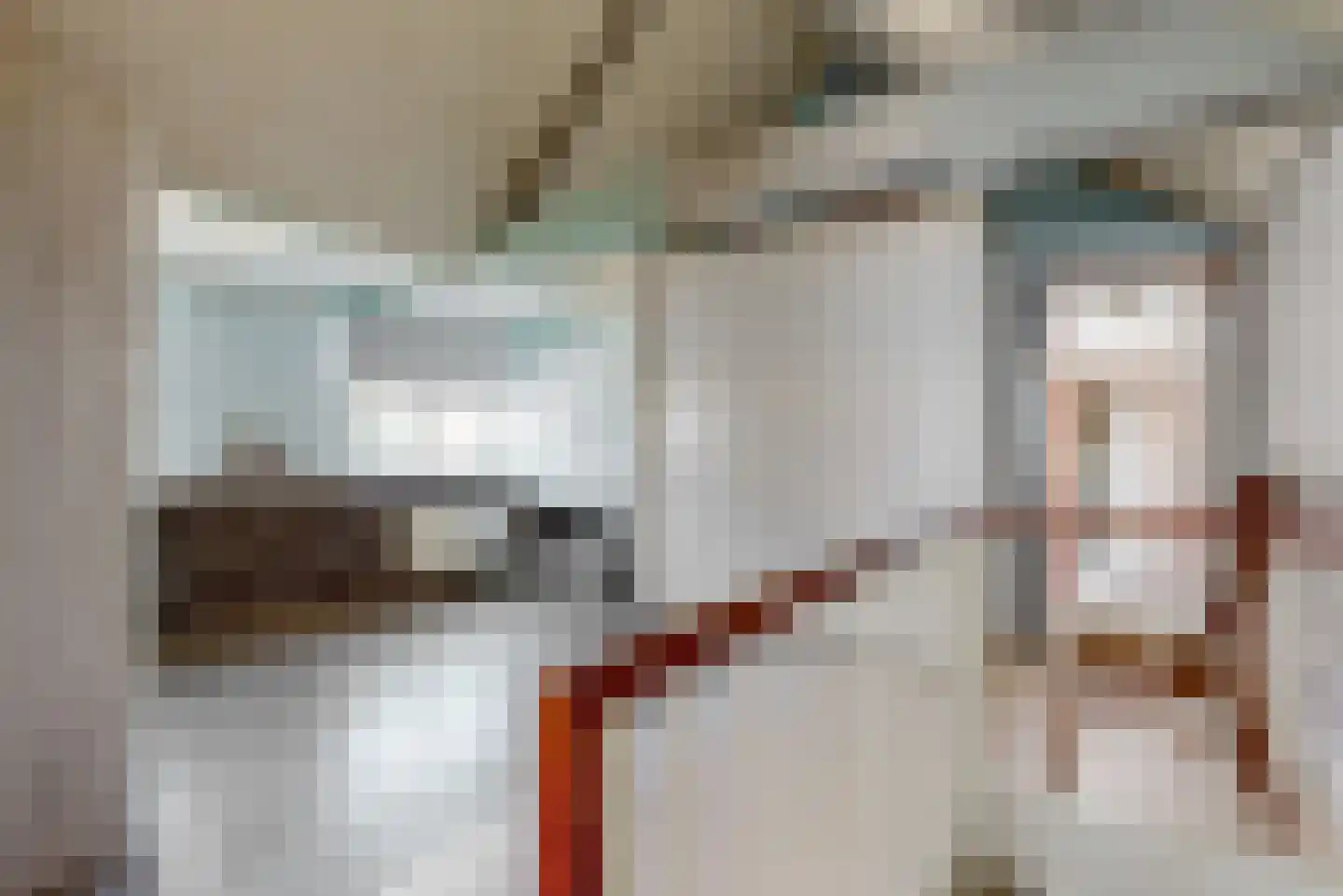 Bakkummerstraat 106 Castricum thumbnail 17