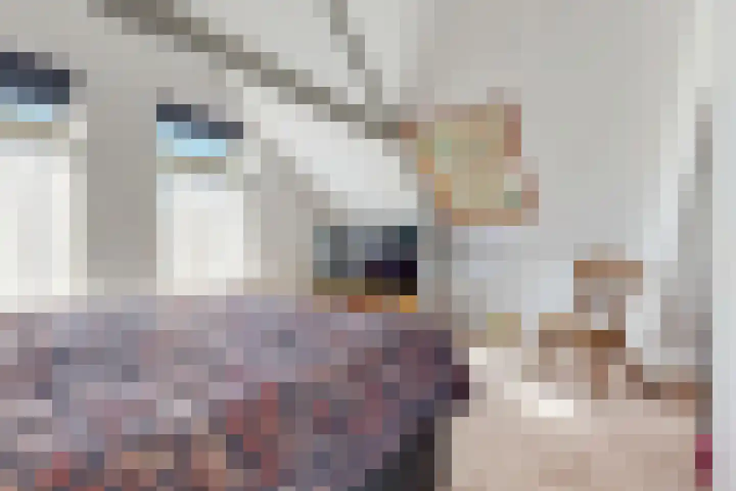 Bakkummerstraat 106 Castricum thumbnail 18