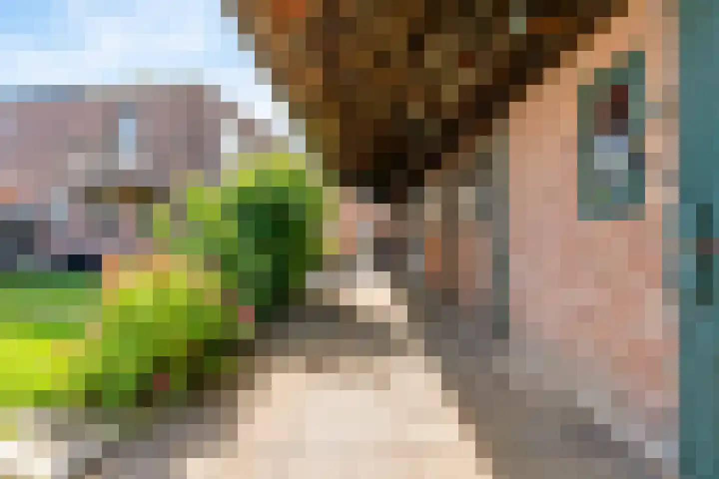 Bakkummerstraat 106 Castricum thumbnail 31
