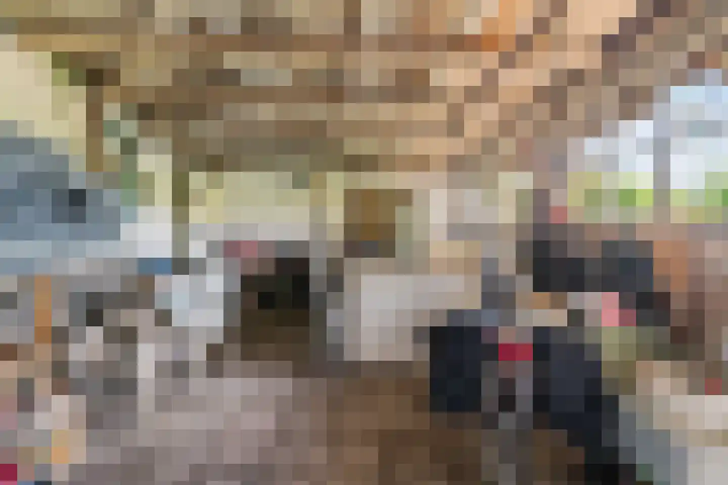Bakkummerstraat 106 Castricum thumbnail 33
