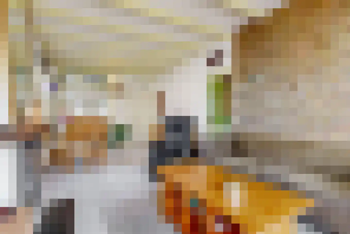 Bakkummerstraat 106 Castricum thumbnail 6