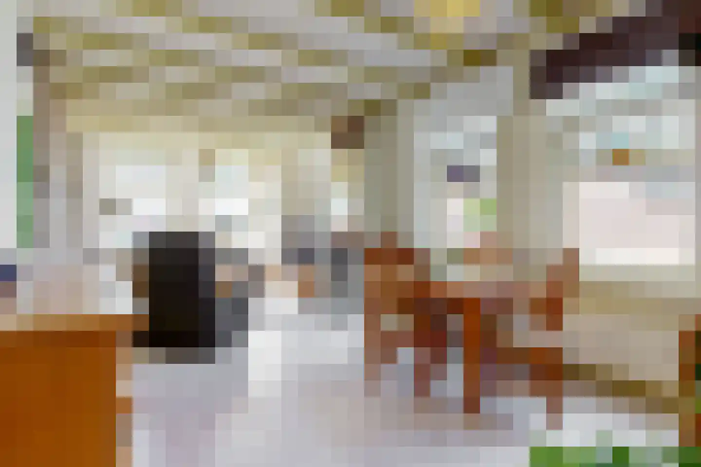 Bakkummerstraat 106 Castricum thumbnail 8