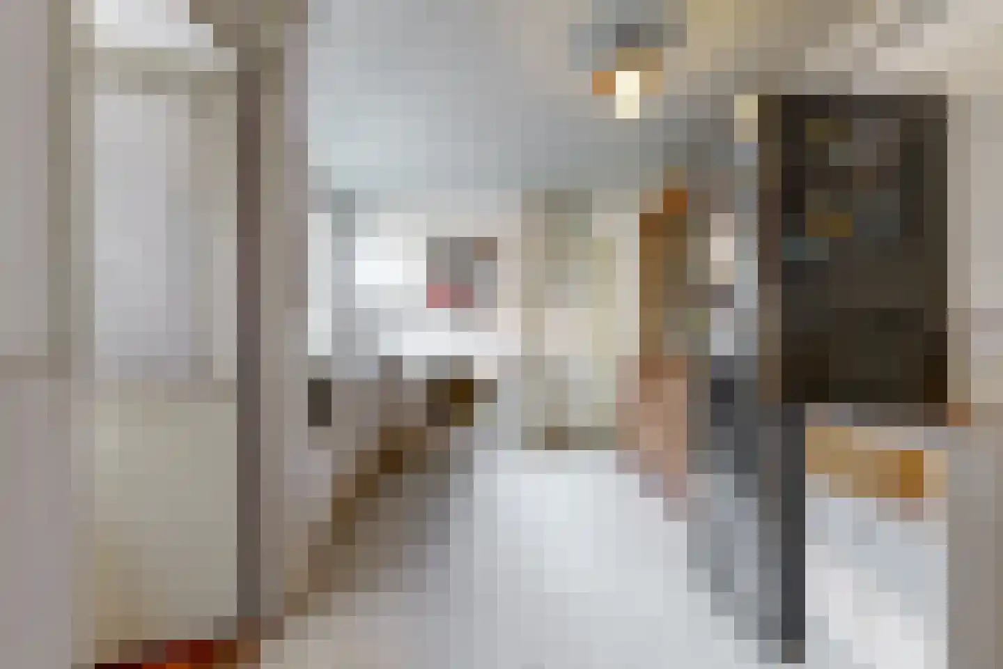 Bakkummerstraat 106 Castricum thumbnail 9