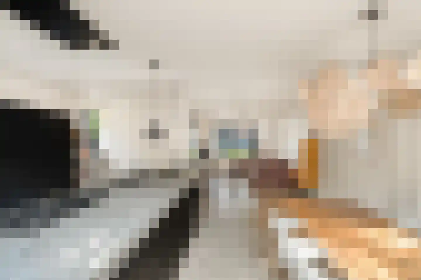 Bakkummerstraat 15 Castricum thumbnail 14