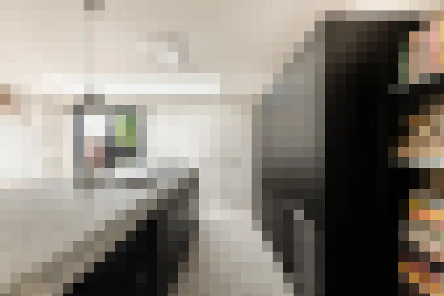 Bakkummerstraat 15 Castricum thumbnail 20