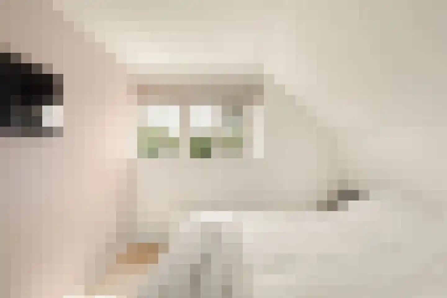 Bakkummerstraat 15 Castricum thumbnail 30