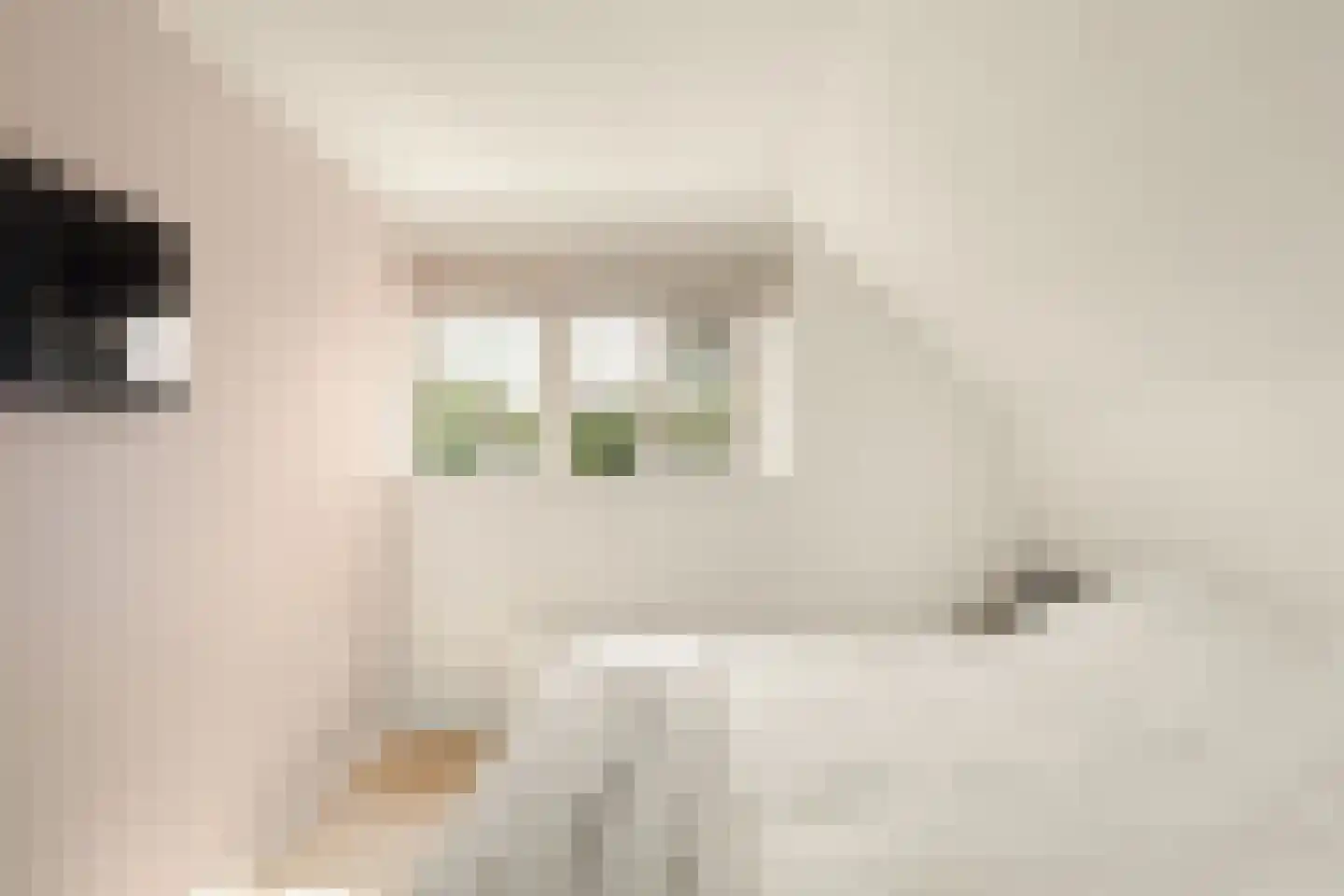 Bakkummerstraat 15 Castricum thumbnail 30