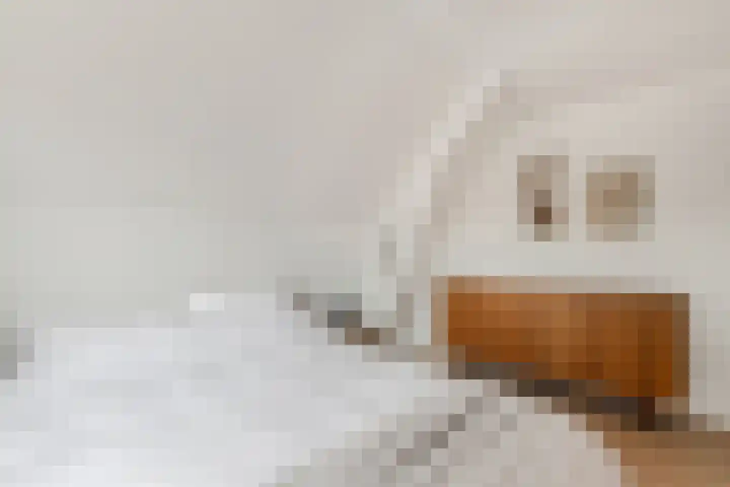 Bakkummerstraat 15 Castricum thumbnail 31