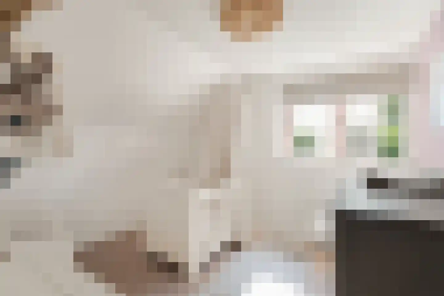 Bakkummerstraat 15 Castricum thumbnail 34