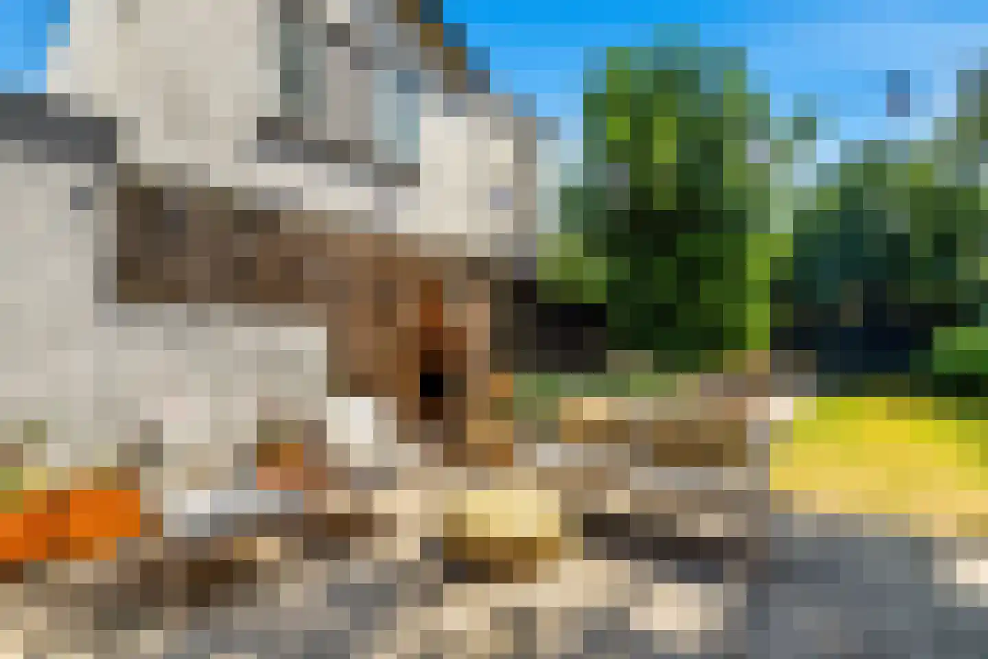 Bakkummerstraat 15 Castricum thumbnail 4