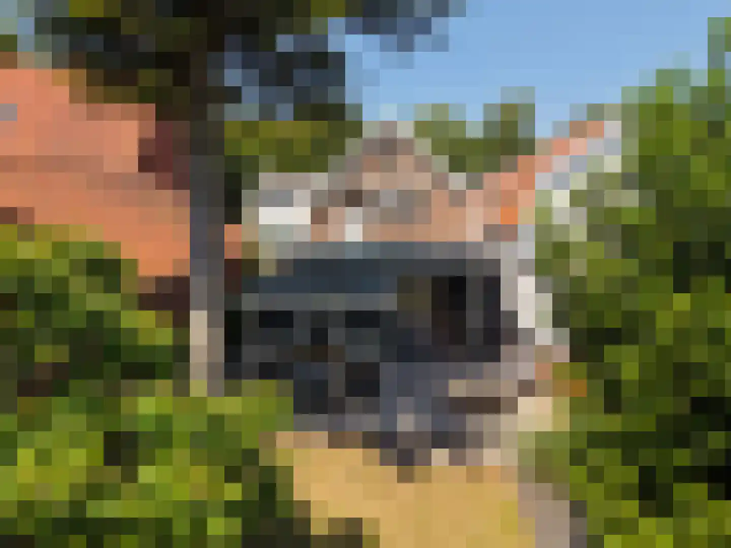 Bakkummerstraat 15 Castricum thumbnail 48