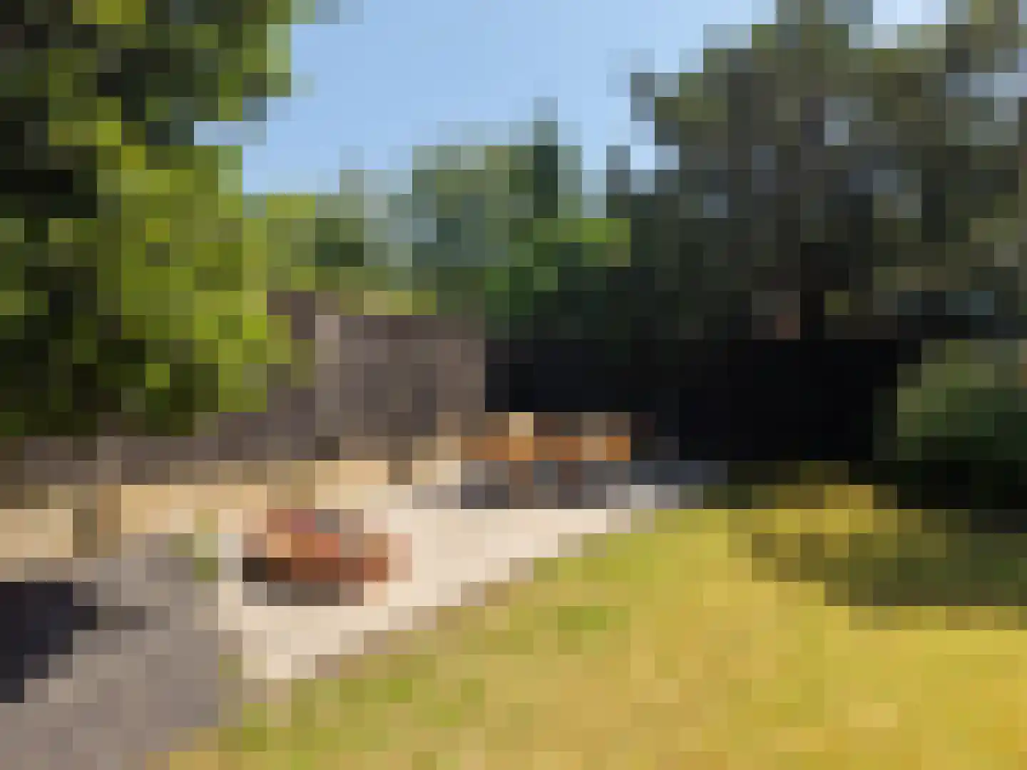 Bakkummerstraat 15 Castricum thumbnail 54