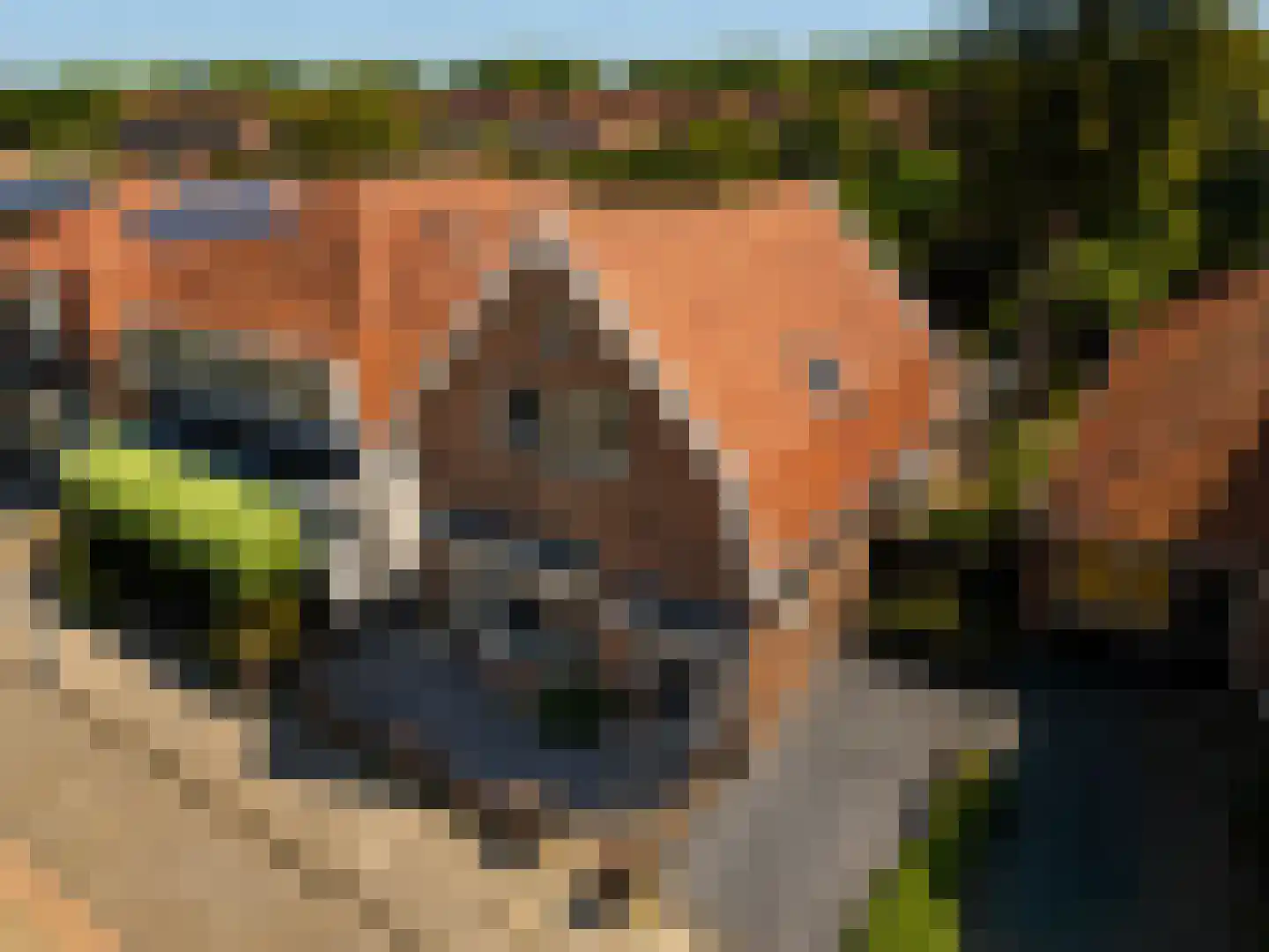 Bakkummerstraat 15 Castricum thumbnail 59