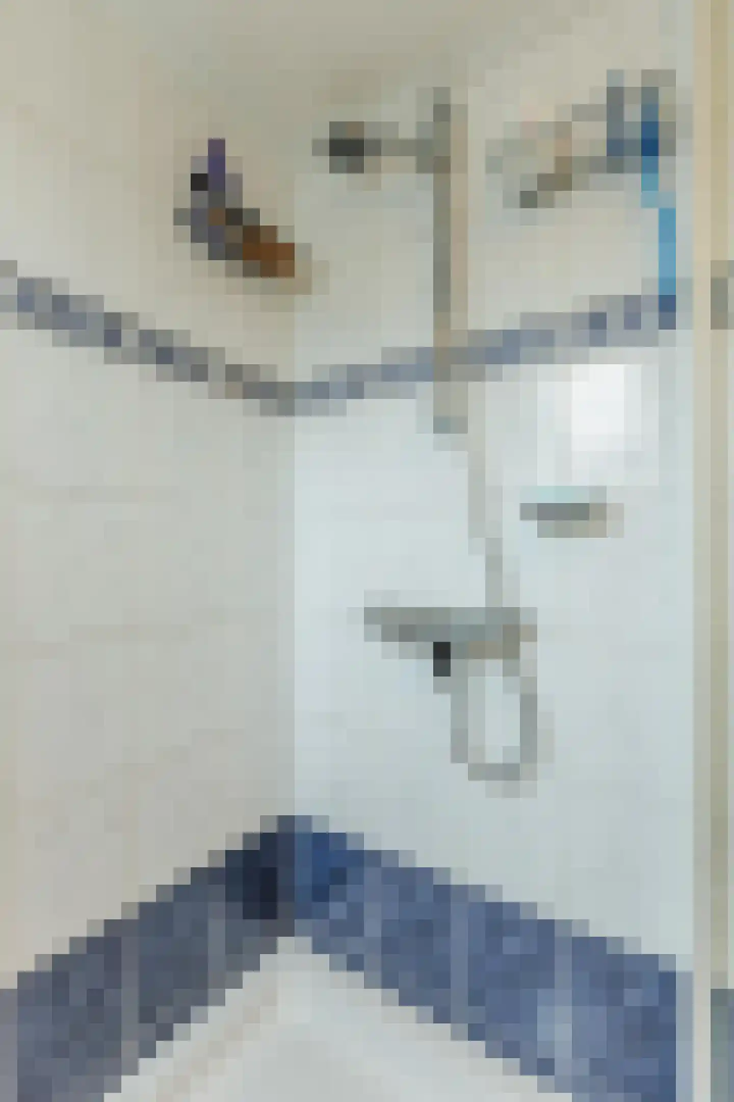 Bakkummerstraat 51 Castricum thumbnail 31