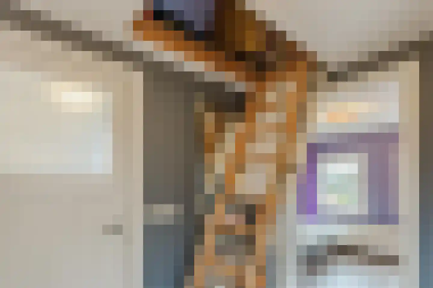 Bakkummerstraat 51 Castricum thumbnail 34