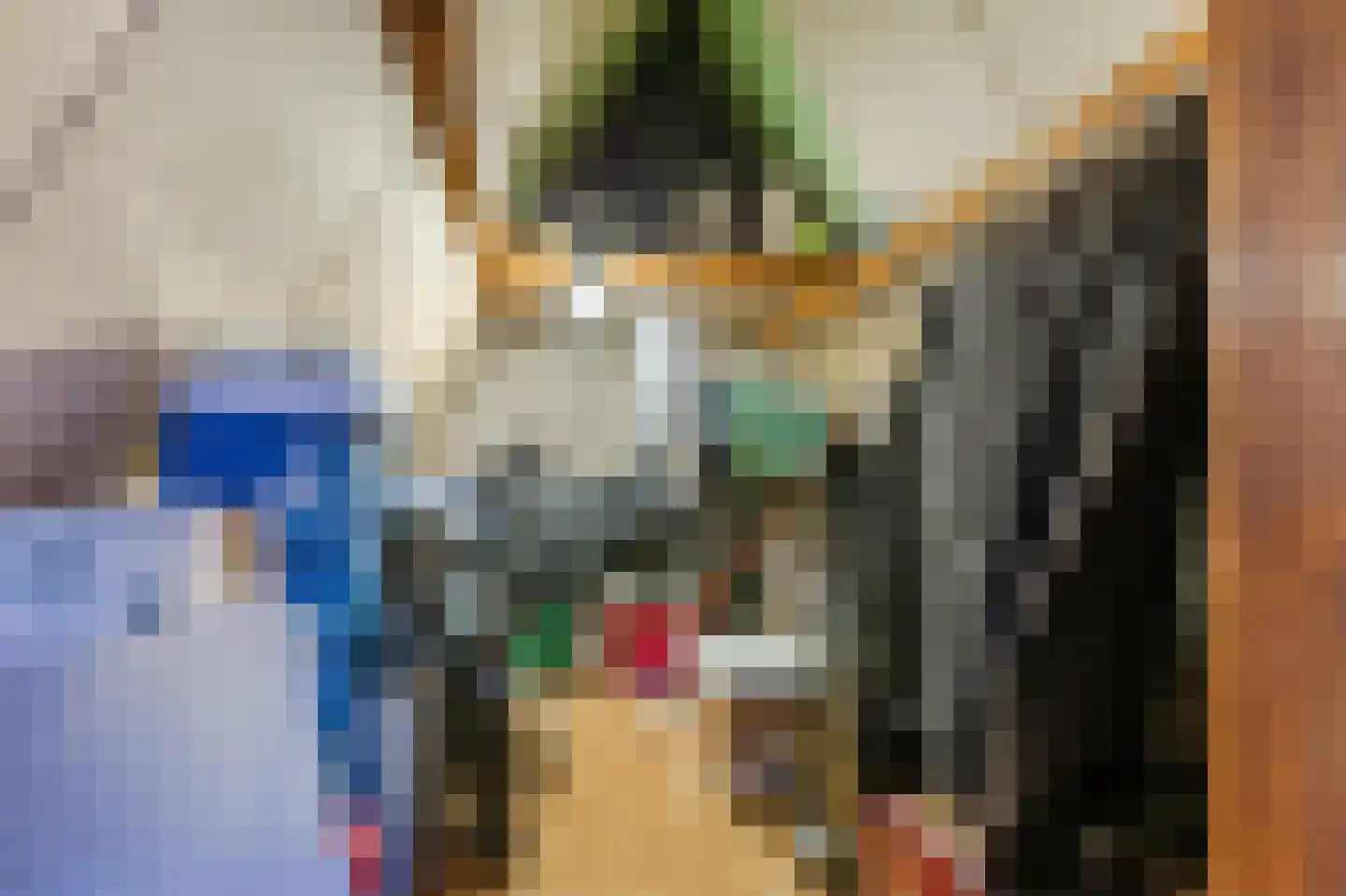 Bakkummerstraat 51 Castricum thumbnail 36