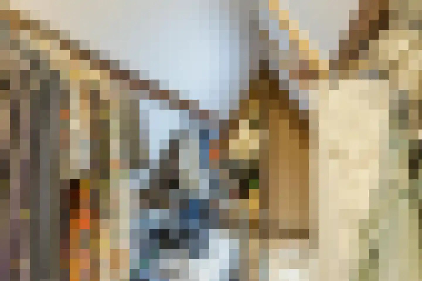 Bakkummerstraat 51 Castricum thumbnail 37
