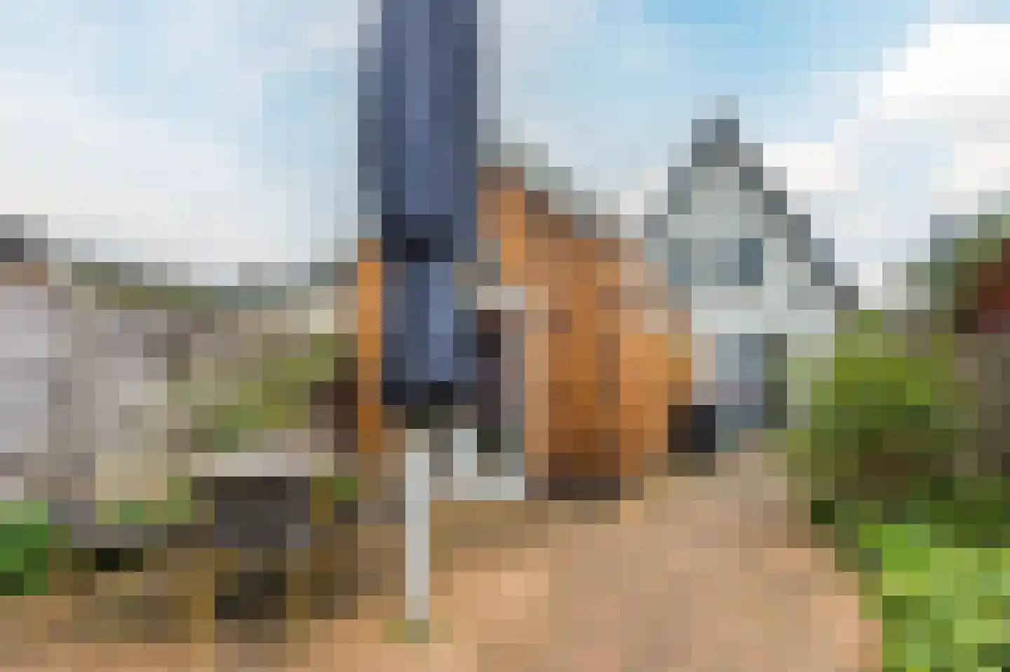 Bakkummerstraat 51 Castricum thumbnail 39