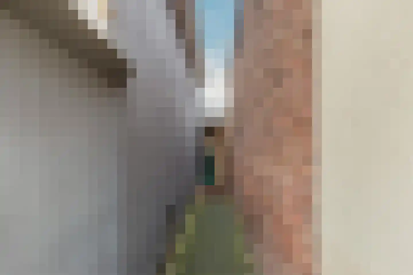 Bakkummerstraat 51 Castricum thumbnail 45