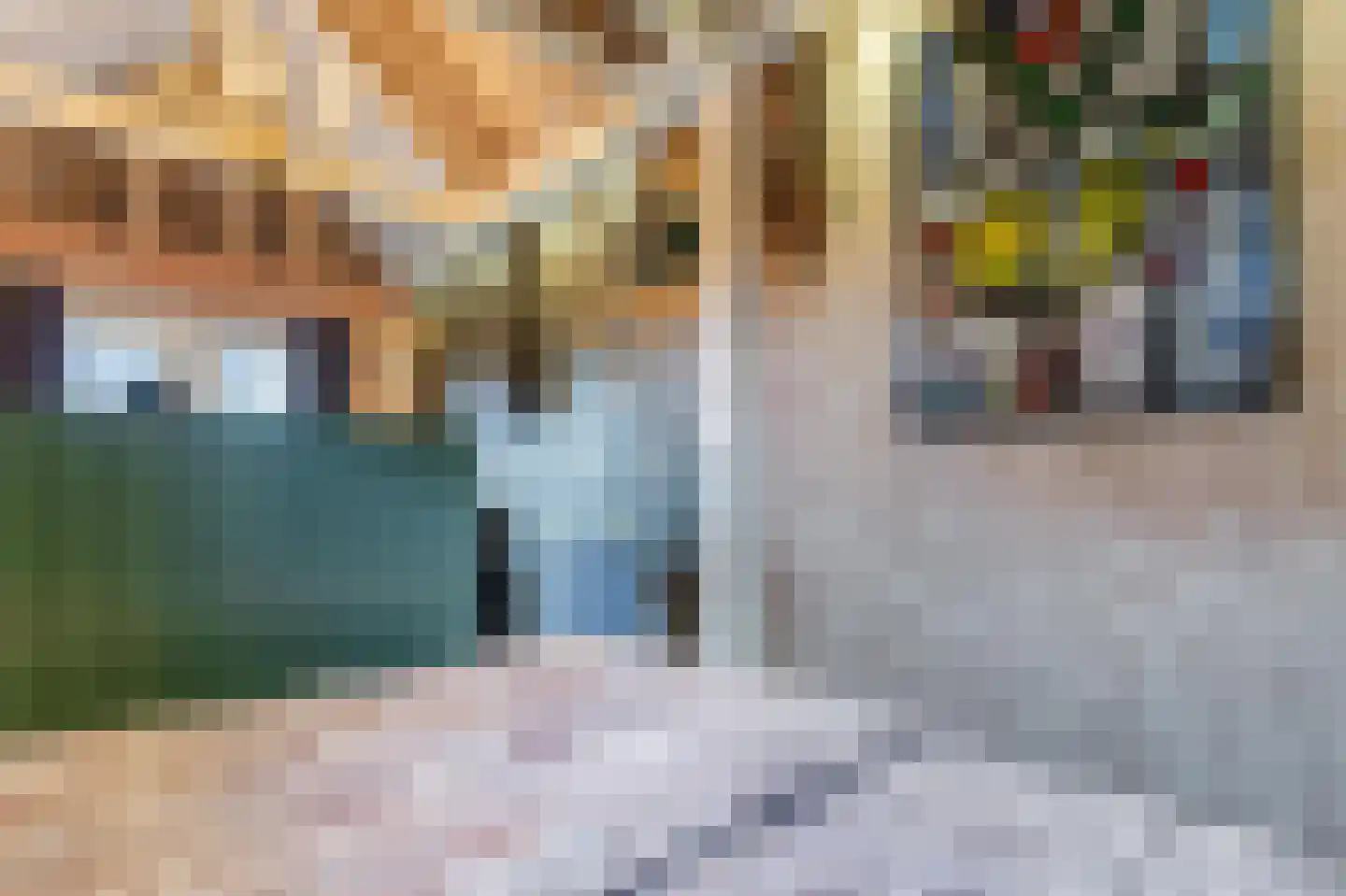 Bakkummerstraat 51 Castricum thumbnail 55
